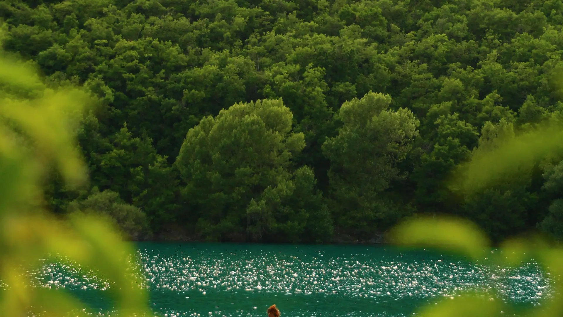 Paddle