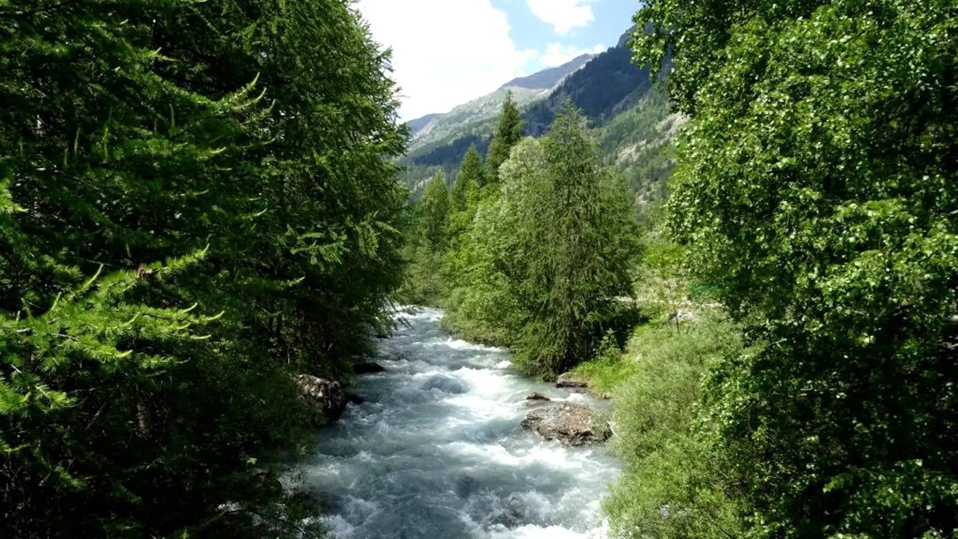 Sentier de Monsieur Alfred