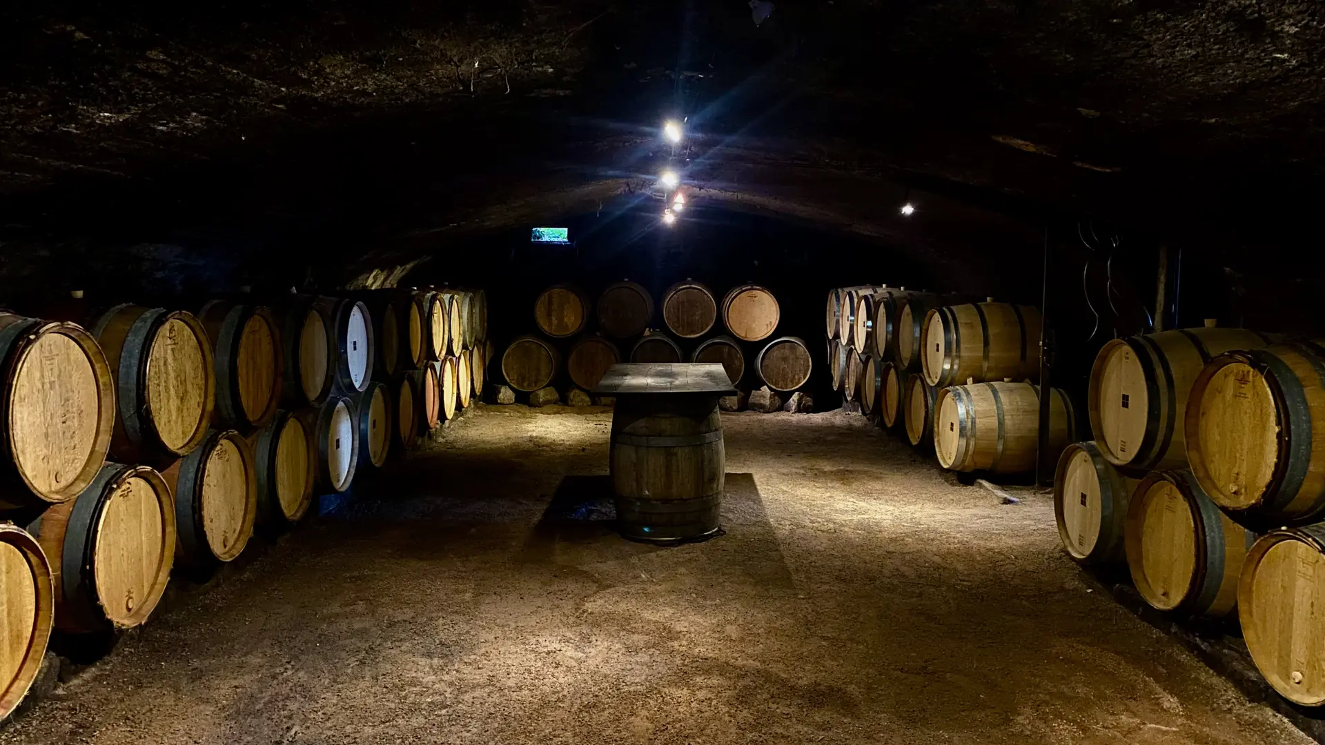 Cave voûtée / Espace de dégustation