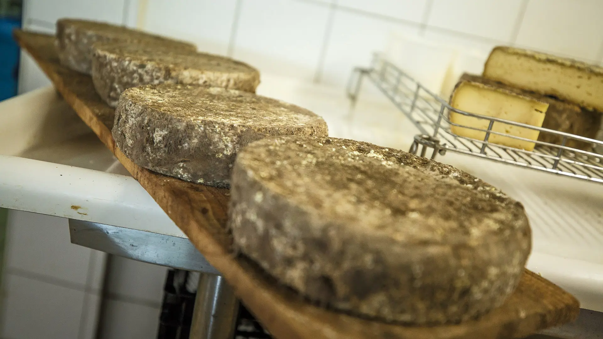 Visite de ferme d'alpage - Airon