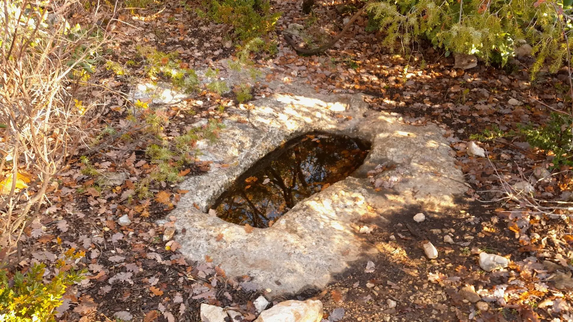 Petit abreuvoir taillé