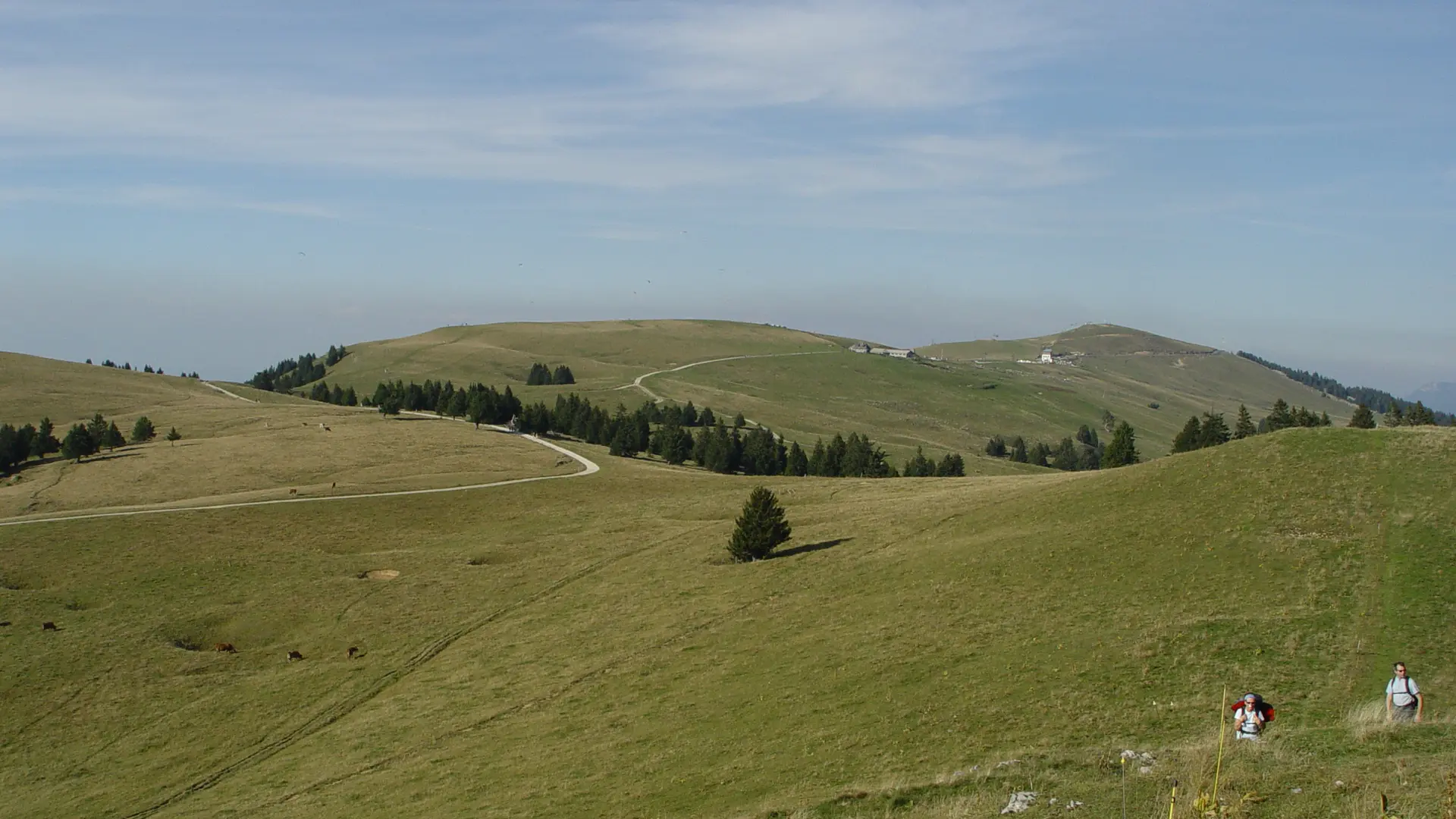 Plateau