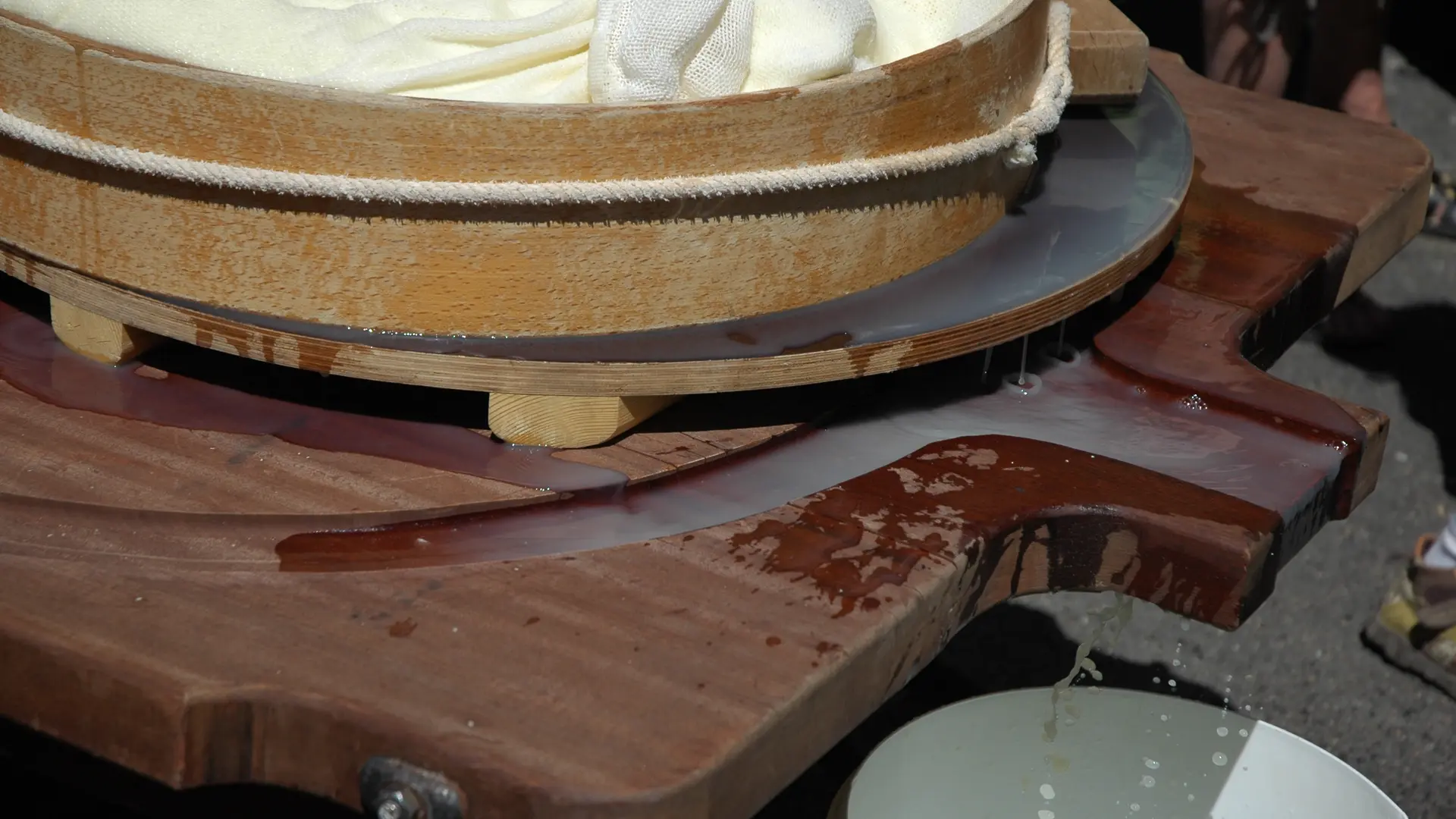 Meule de comté en cours de fabrication
