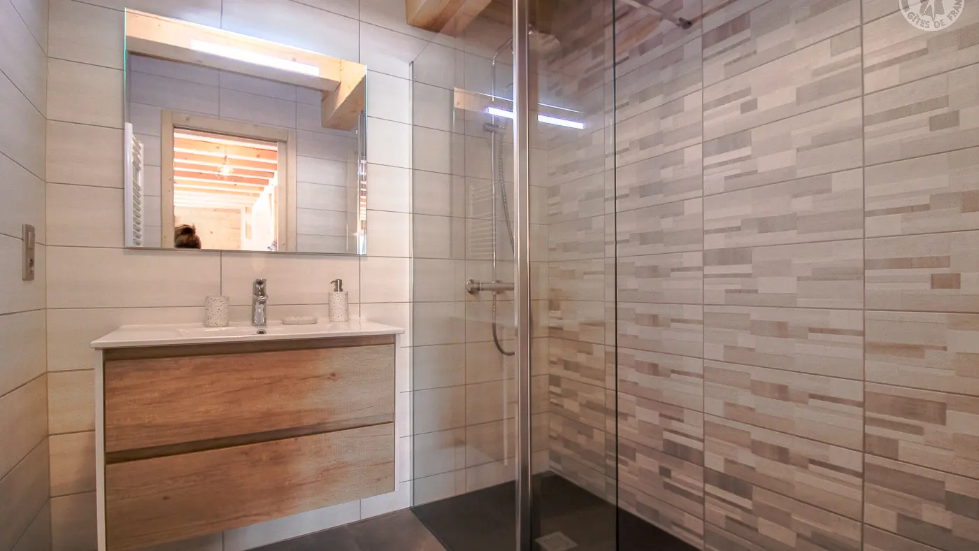 73G132341 - CHALET BELLEVILLE - HAUTELUCE