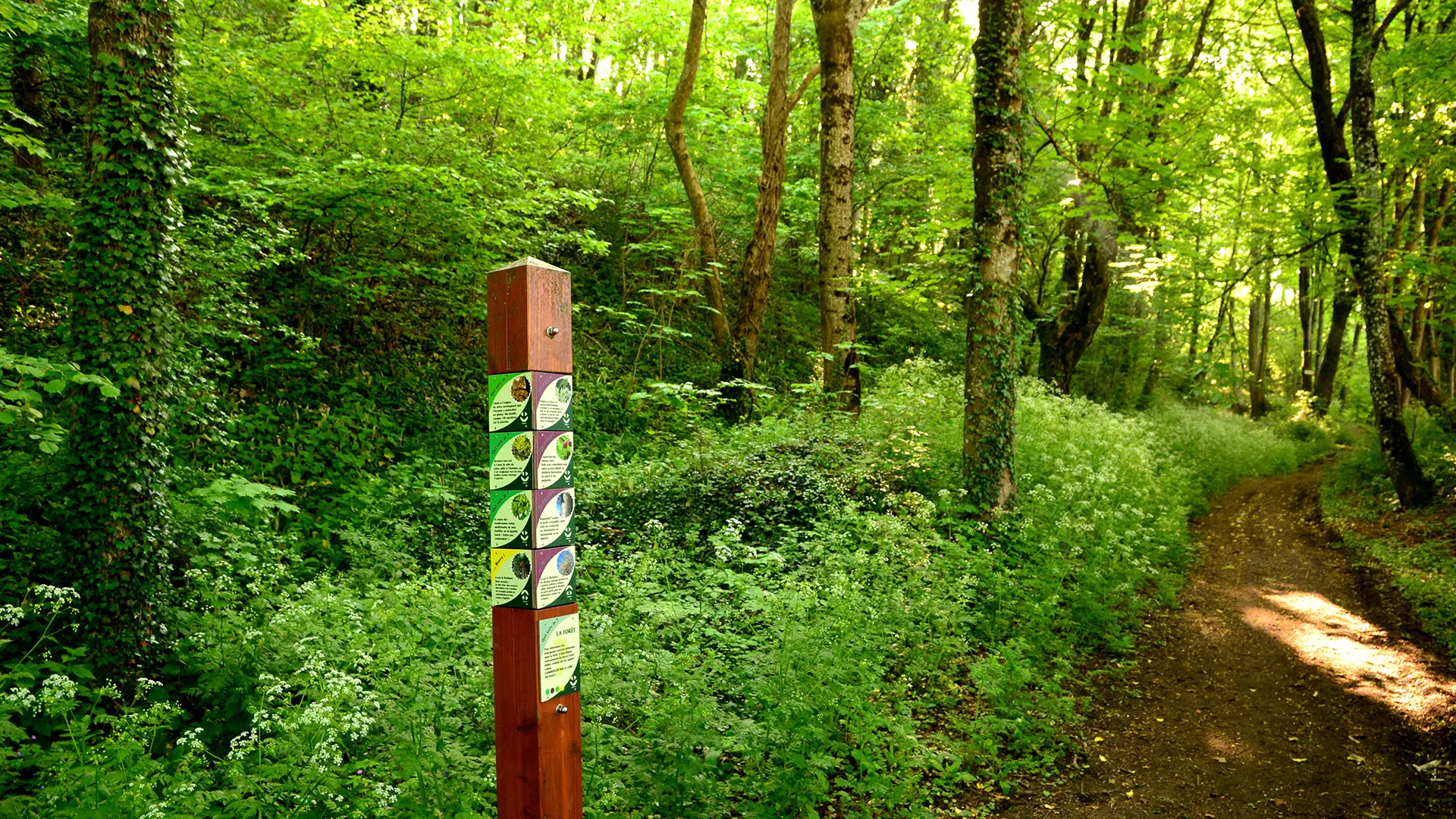 Chemin