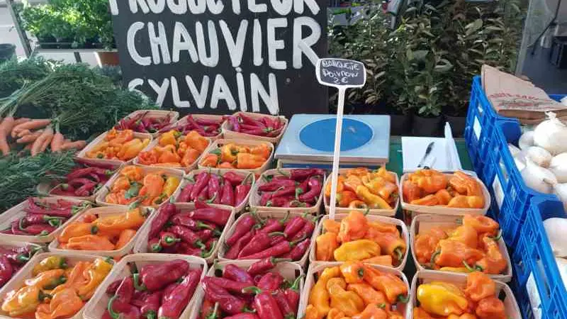 Producteur-Maraîcher