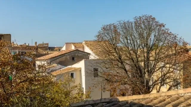 Appartement Le 40_L'Isle-sur-la-Sorgue vue extérieure toits