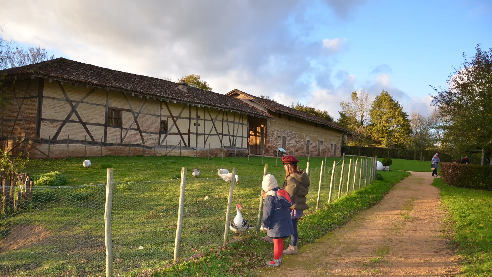 Elevage de volailles de Bresse sur le Domaine