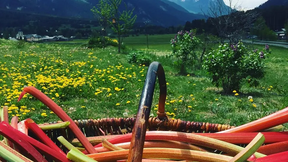 produits locaux maraicher légumes