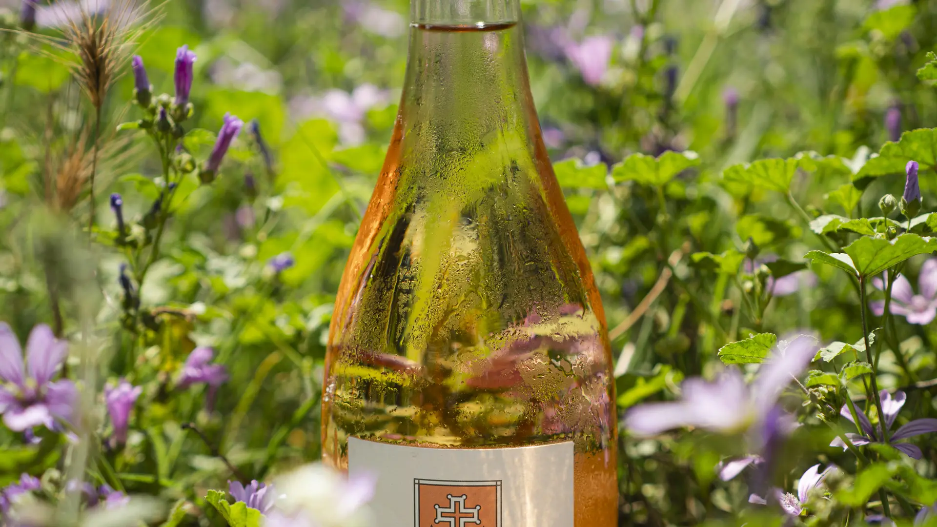 Domaine Kennel à Pierrefeu du Var