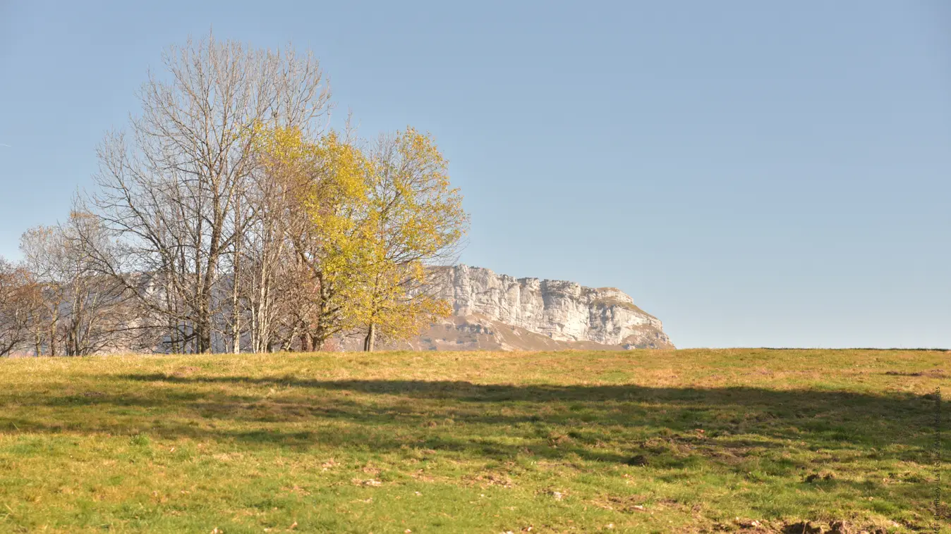 départ des pistes