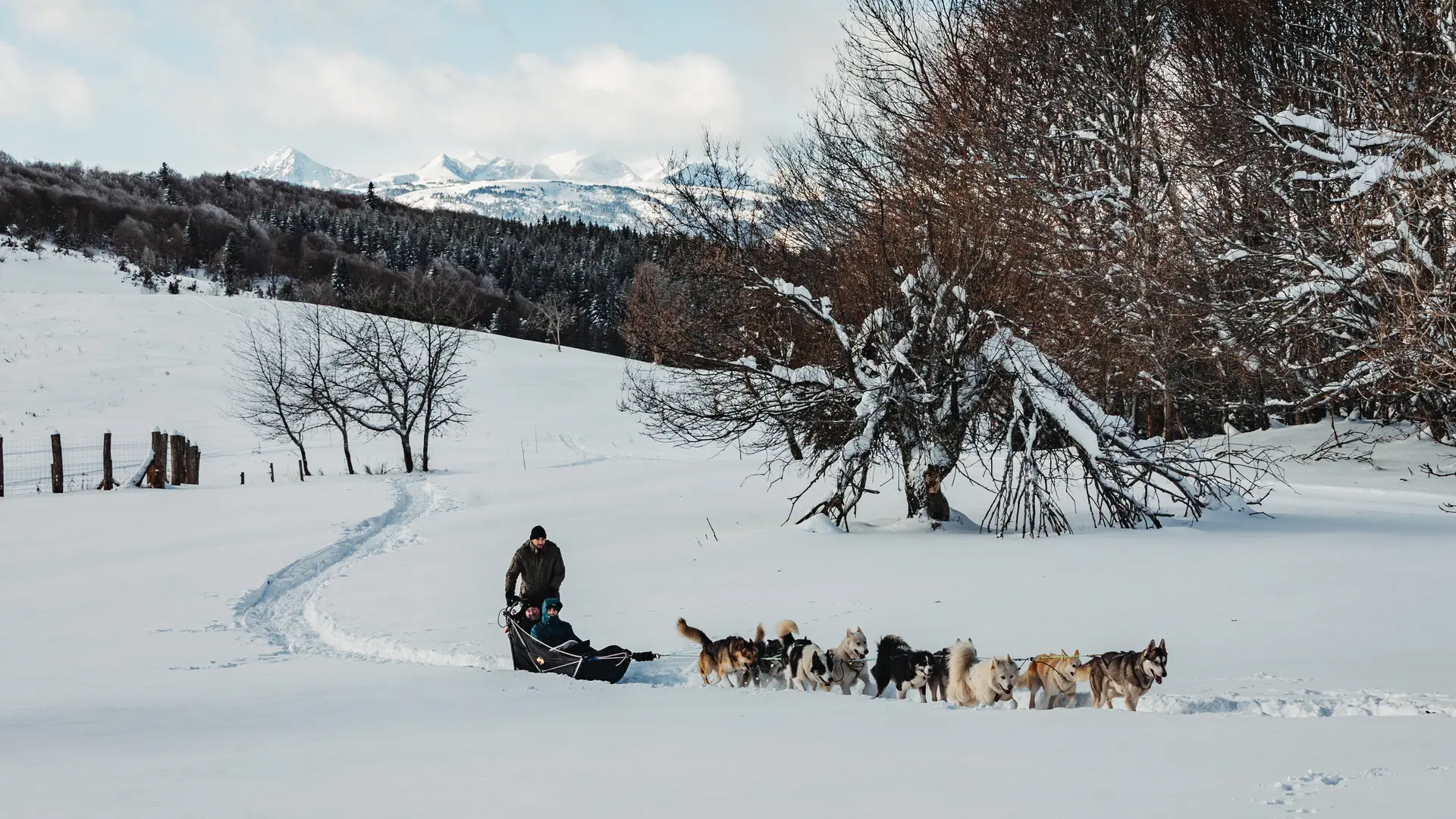 Attelage sur neige, Terre Sauvage