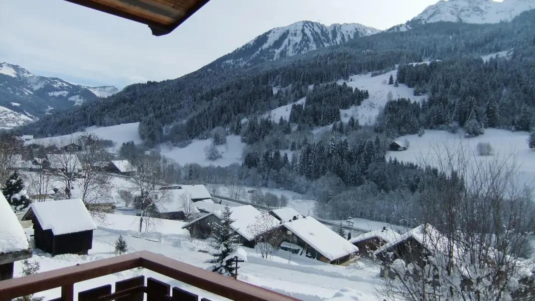 vue hivernale depuis le balcon