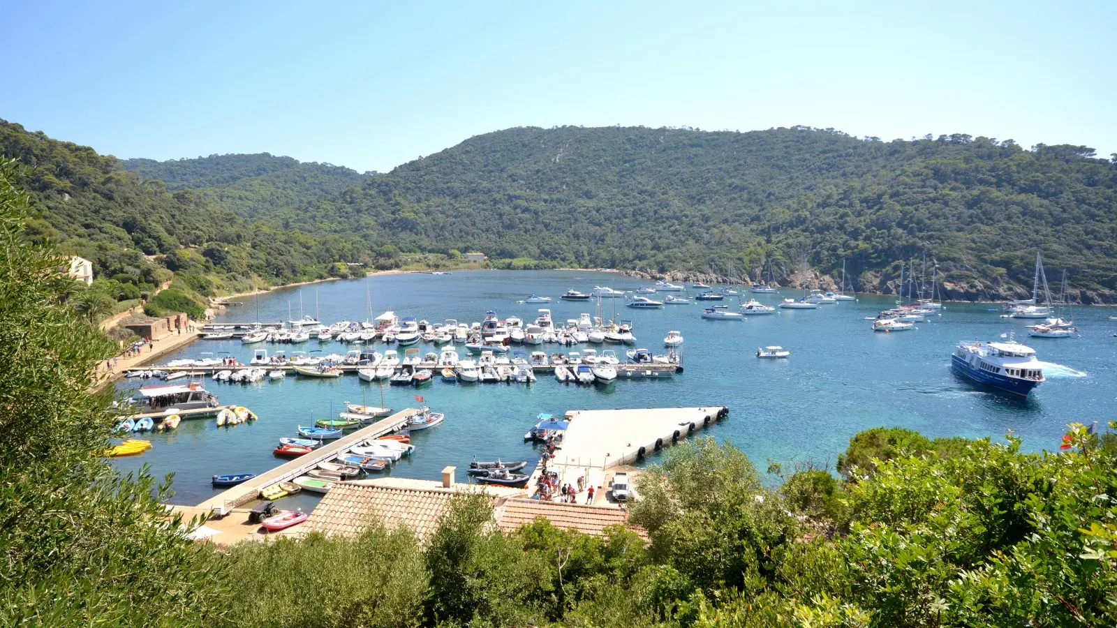 L'île de Port Cros, coeur de parc National à Hyères