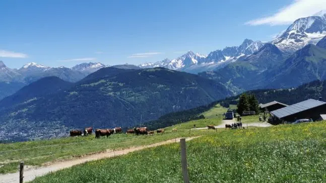 Alpage la Grand Montaz