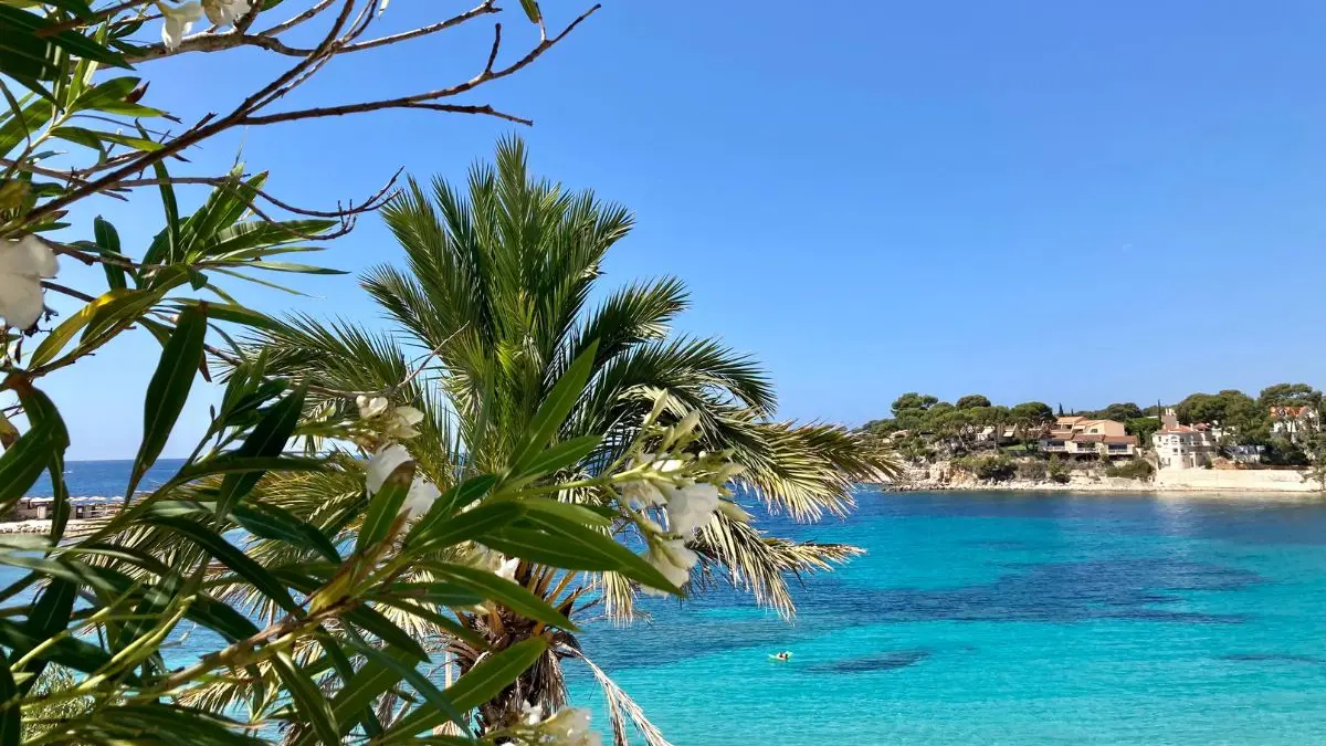 Plage Renecros Bandol