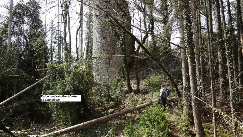 Château ruiné de Mont Didier