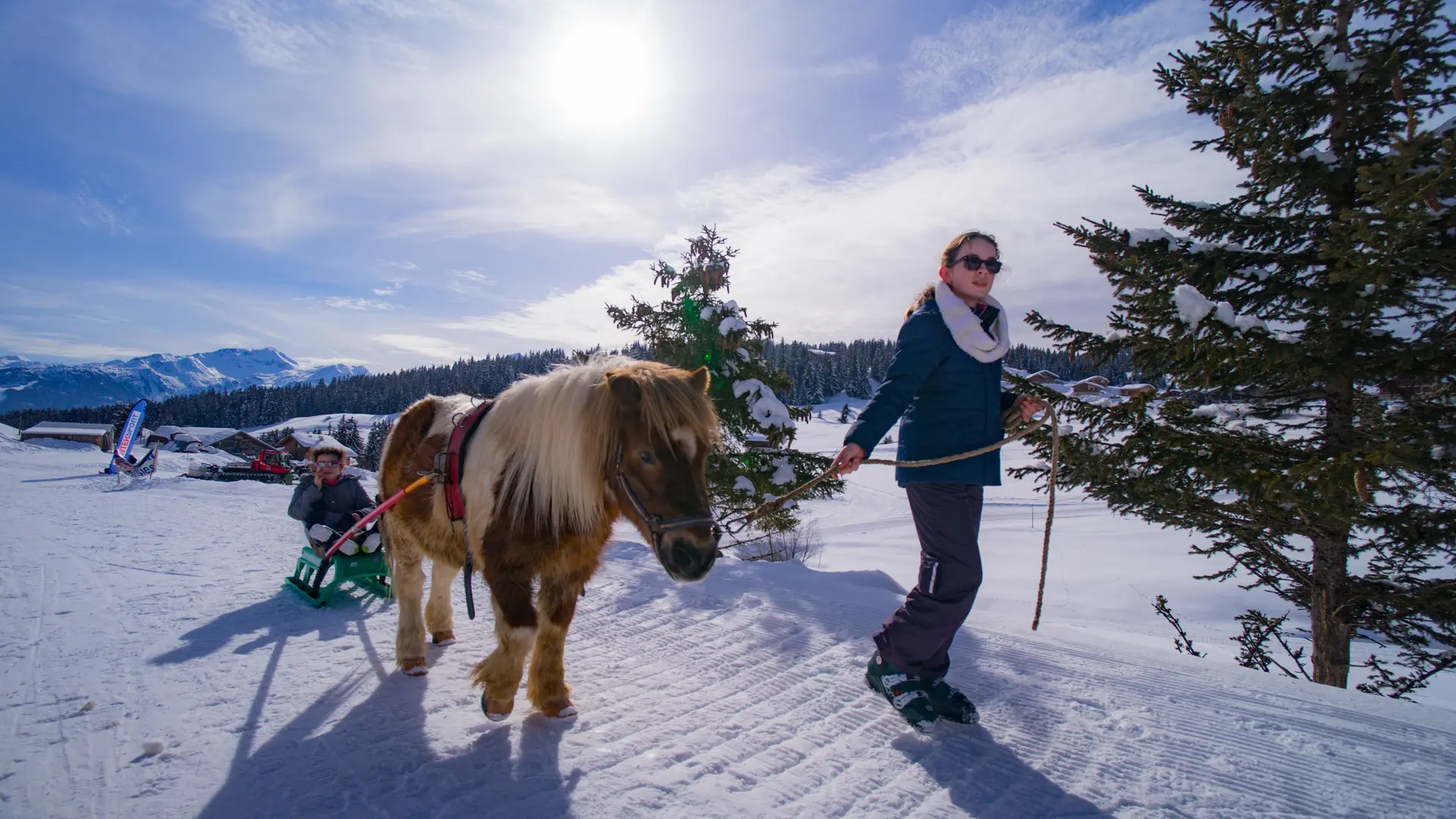 Poney Luge les Saisies