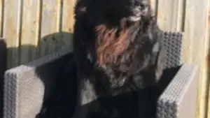 Notre chien Planète