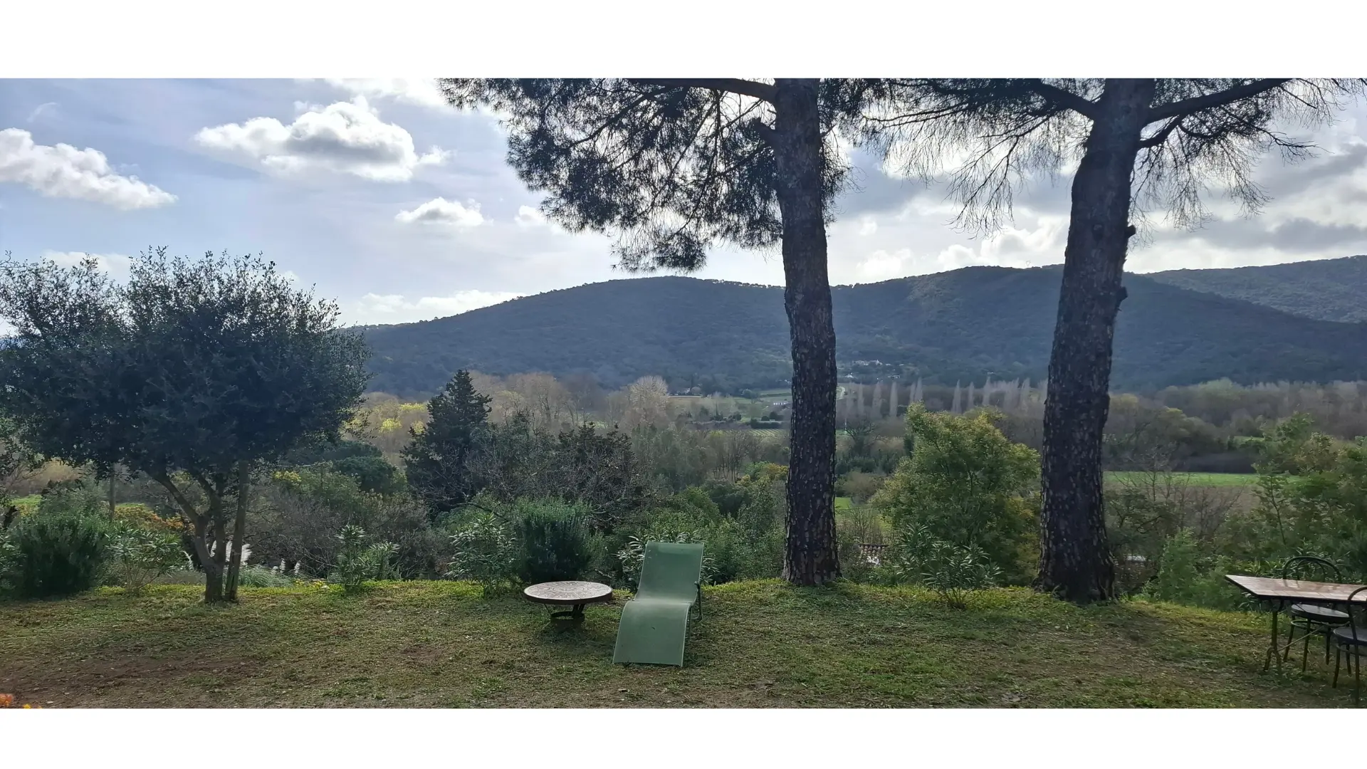 Vue