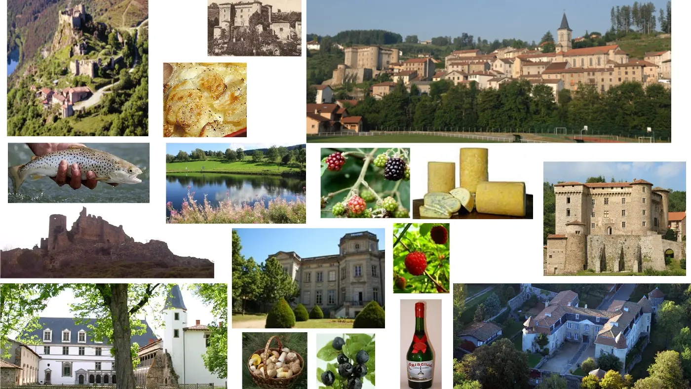 Gite La clé des champs : village de Chalmazel, châteaux à visiter (Chalmazel, forteresse de Couzan,  Bâtie d'Urfée), étang des Champas (pêche), spécialités à déguster (patia, fourme de Montbrison, vin) ou à cueillir (champignons, myrtilles, framboises, fraises des bois).