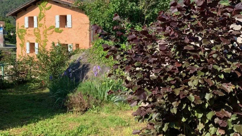 Gîte Le Doudou d'Anathéo-Jardin-Roquebillière-Gîtes de France des Alpes-Maritimes