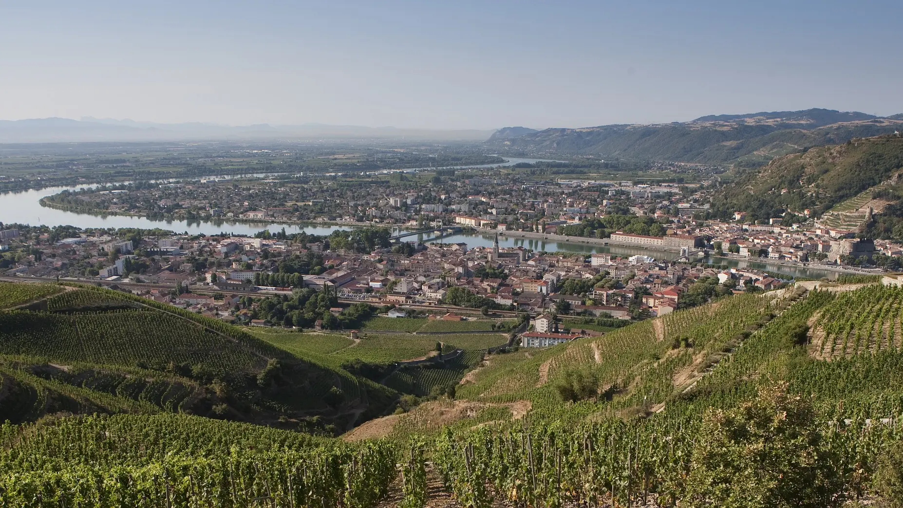 Vignoble de l'Hermitage