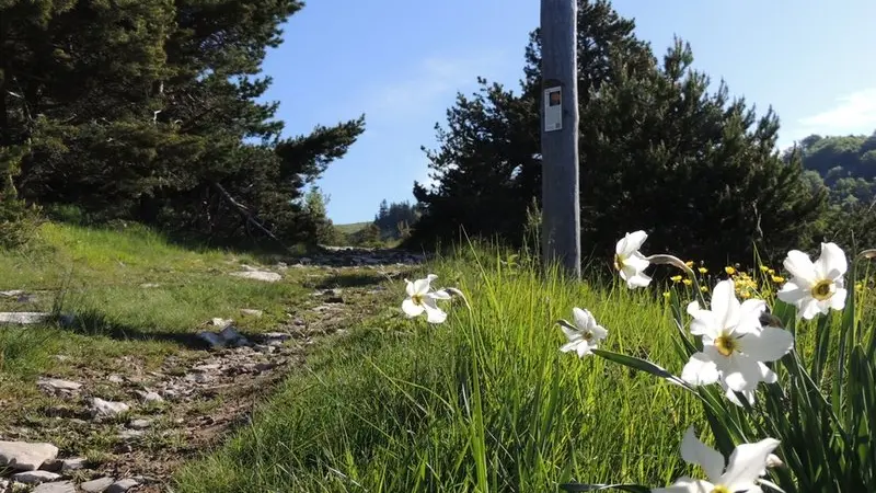 sentier des planètes