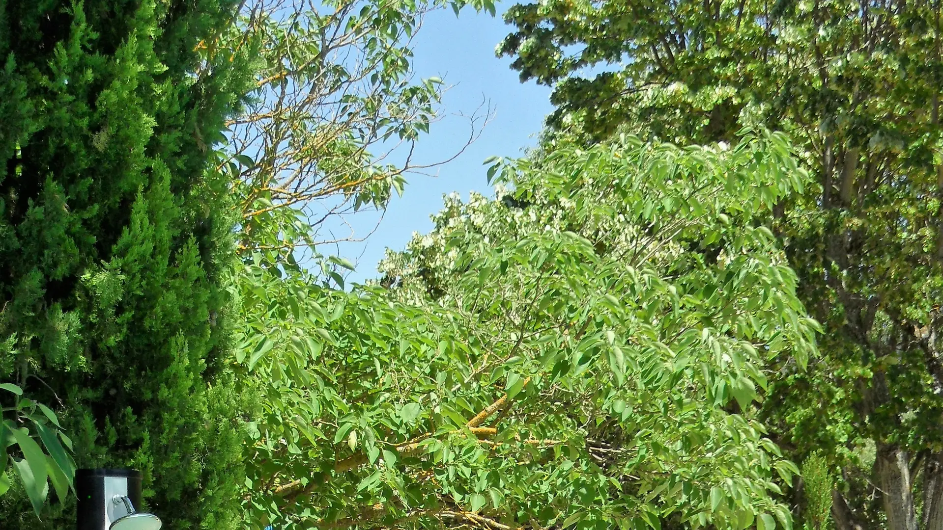 Bastide la Lézardière parc