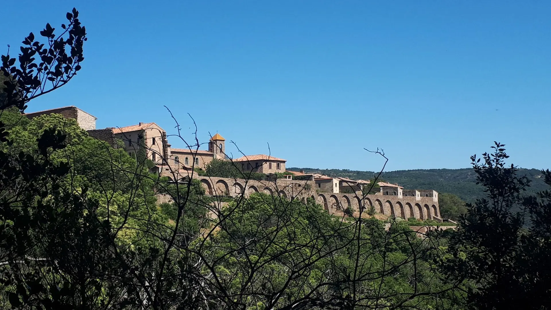 Vue de la chartreuse de côté à travers l'écrin de végétation
