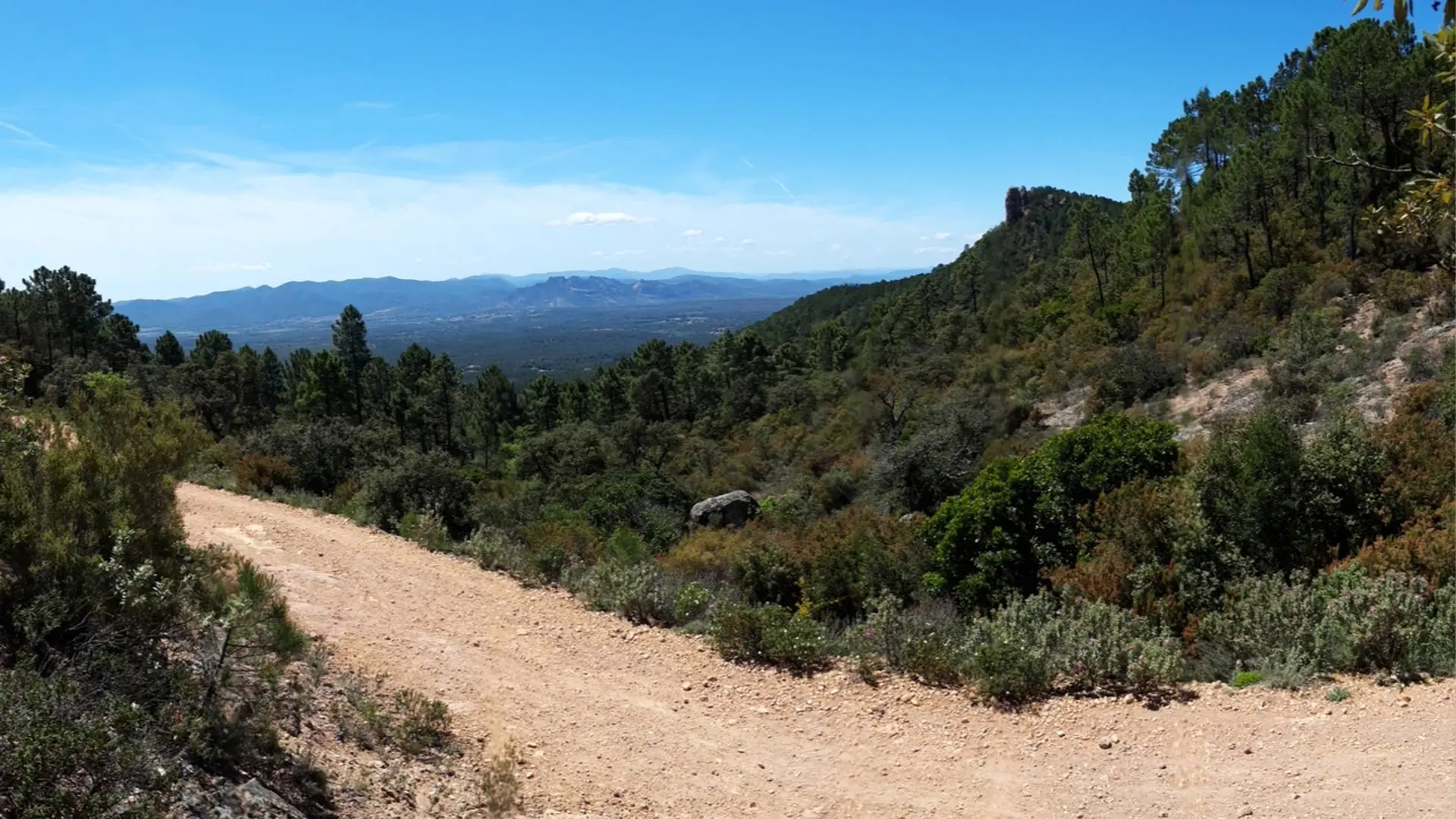 Panorama sur le sentier et une vue dégagée sur la nature verdoyante