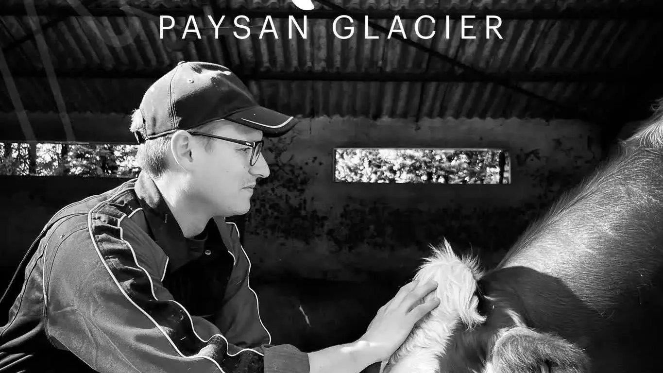 Un agriculteur caresse une vache dans une étable.