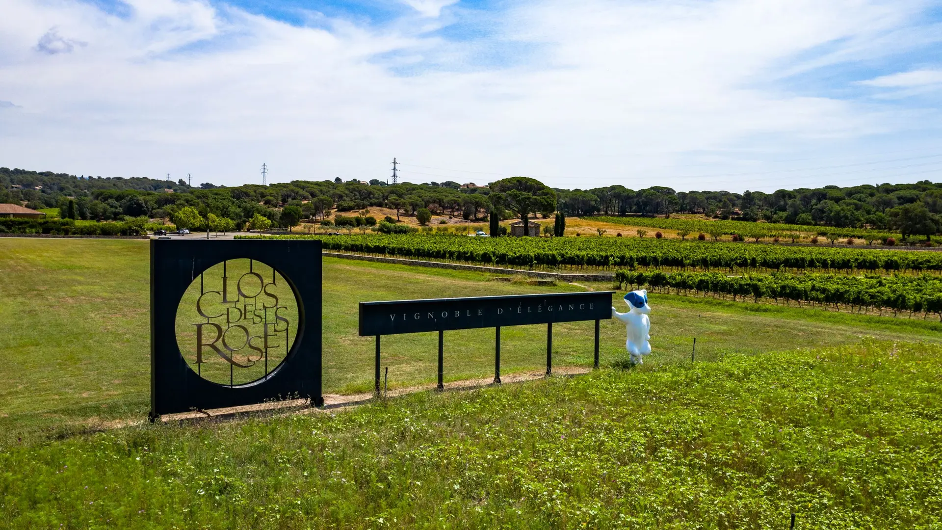 Les secrets des vins de Provence