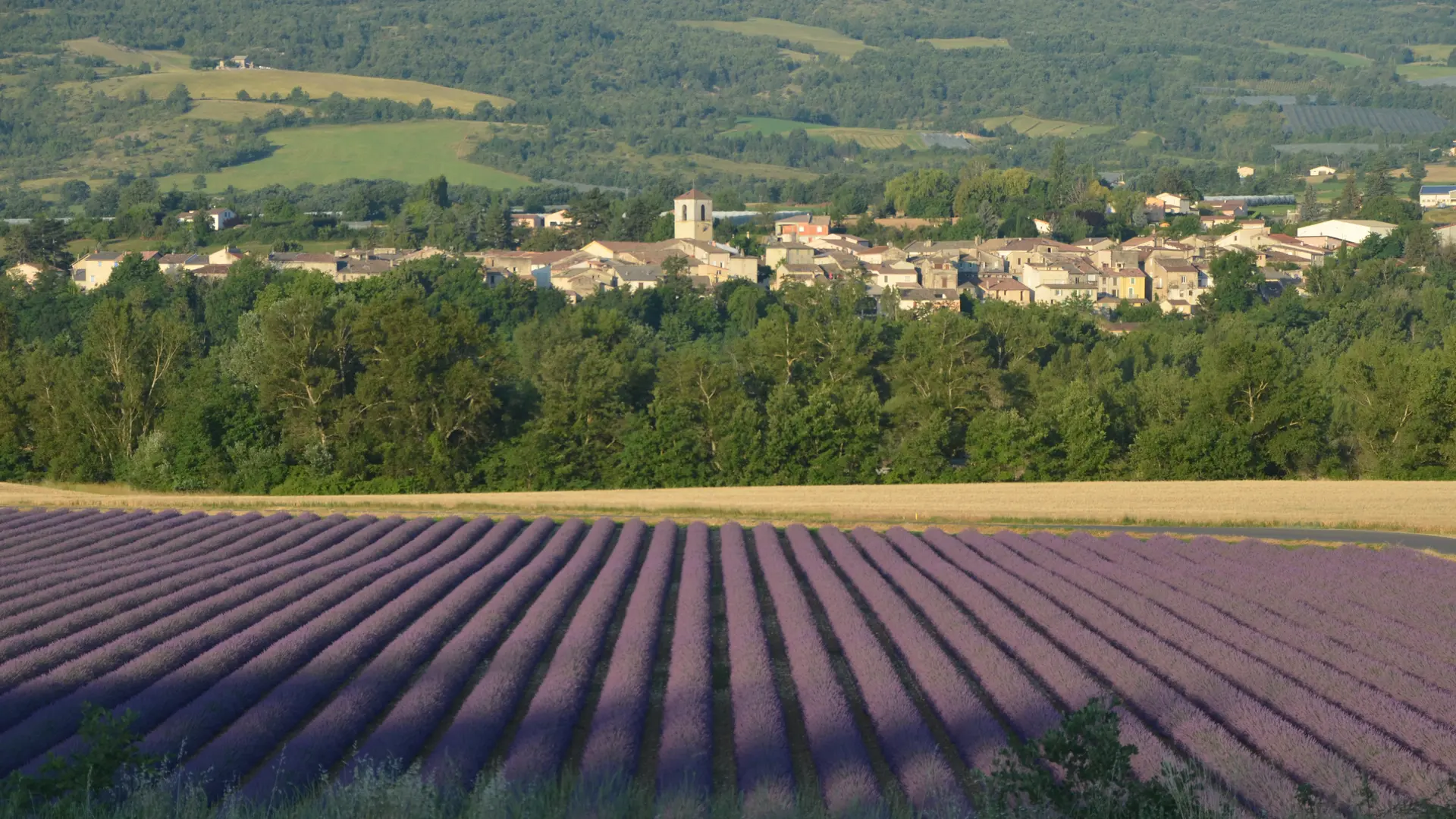 Le village et les champs de lavande