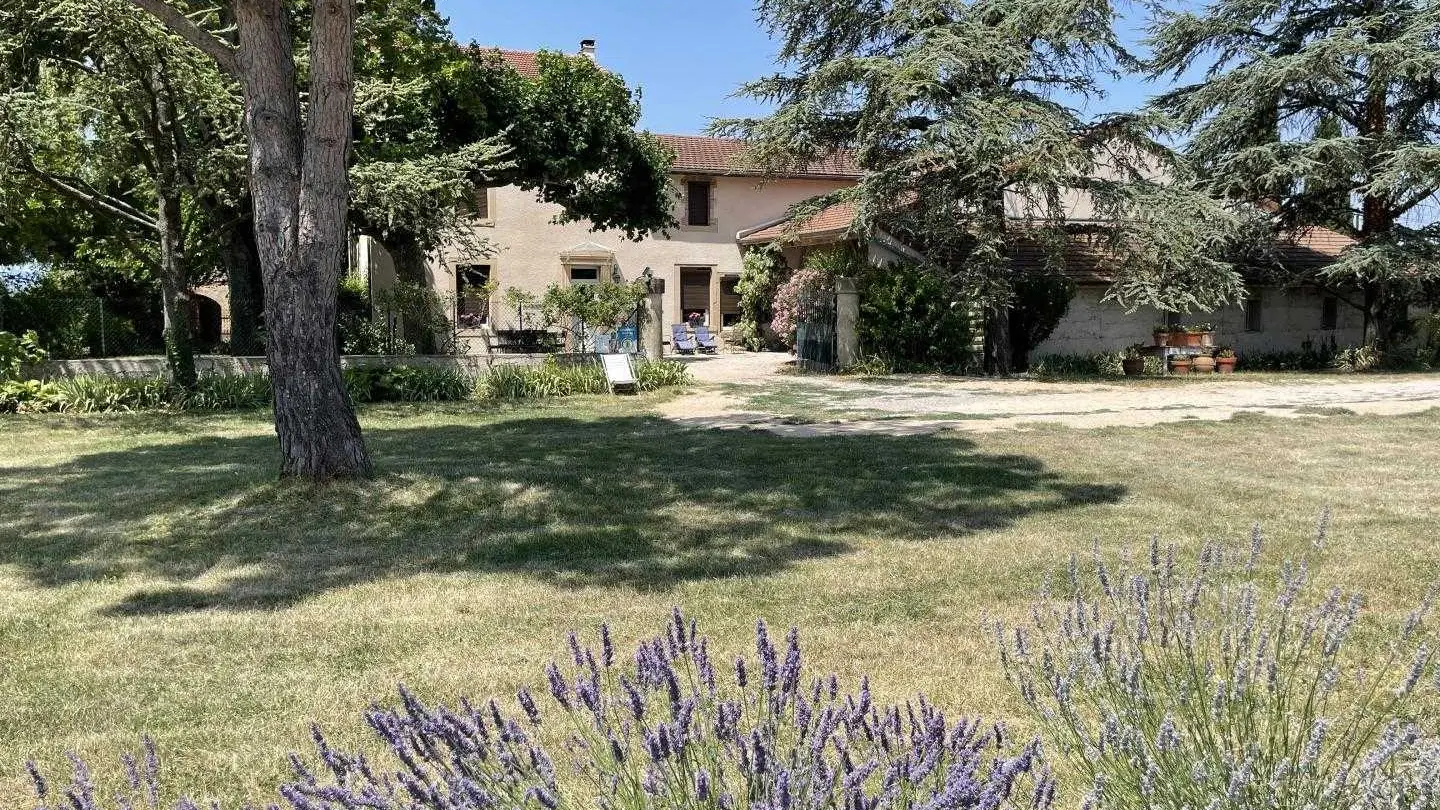 A votre arrivée, entre lavande et laurier rose, sous l'ombre du pin parasol
