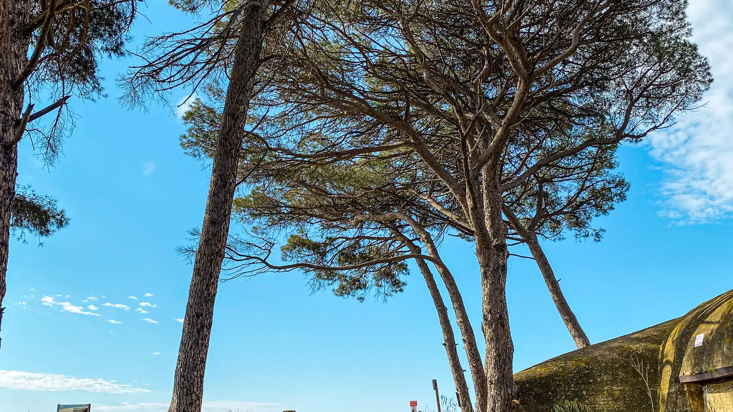 Visite guidée avec Cyril Barthelemy, guide conférencier à La Londe les Maures