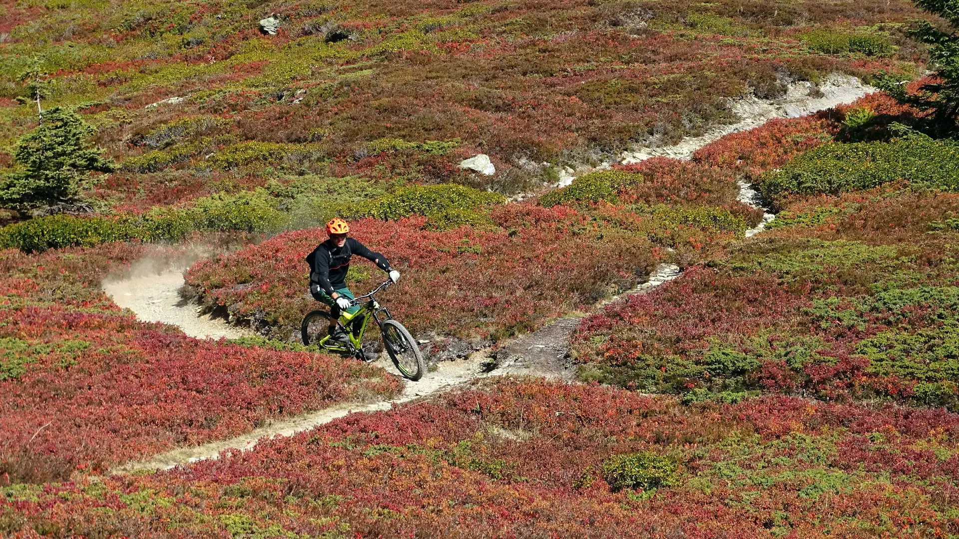 VTT