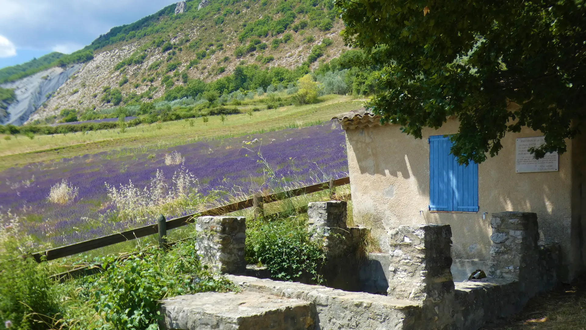 Le Bastidon de la Cigalière entouré de lavandes