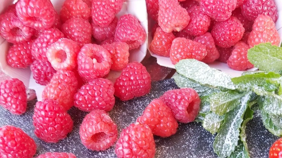 Producteur Bourgier & fils à Saint-Rémy-de-Provence