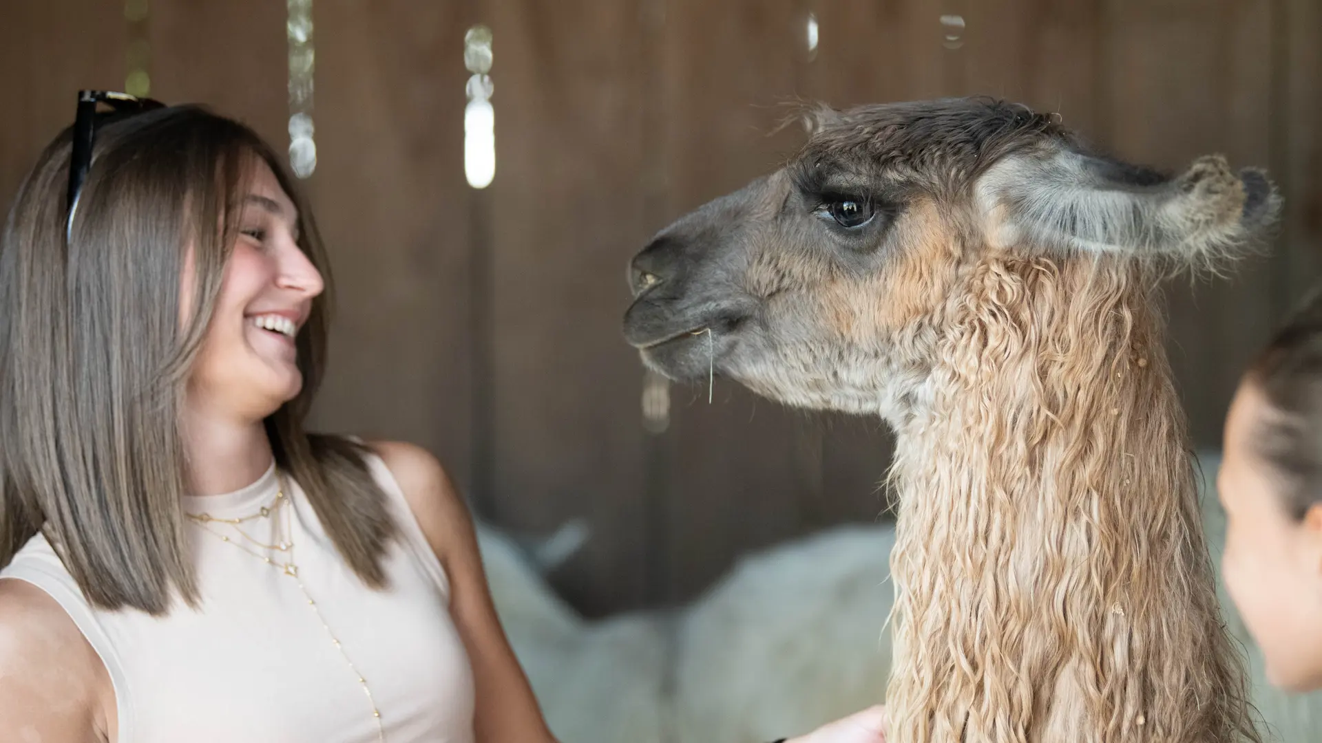 Photo montrant une jeune femme avec un des Lamas des plaines