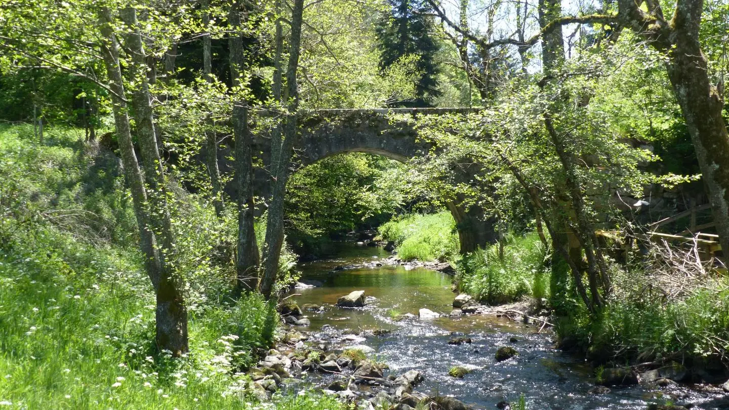 Pour la pêche à la truite