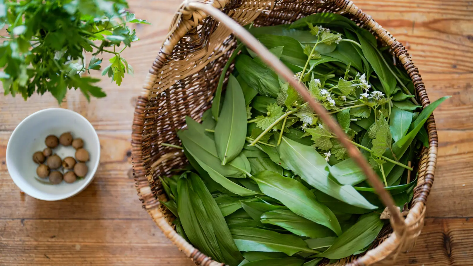 Les herbes simples - Mélanie Payre