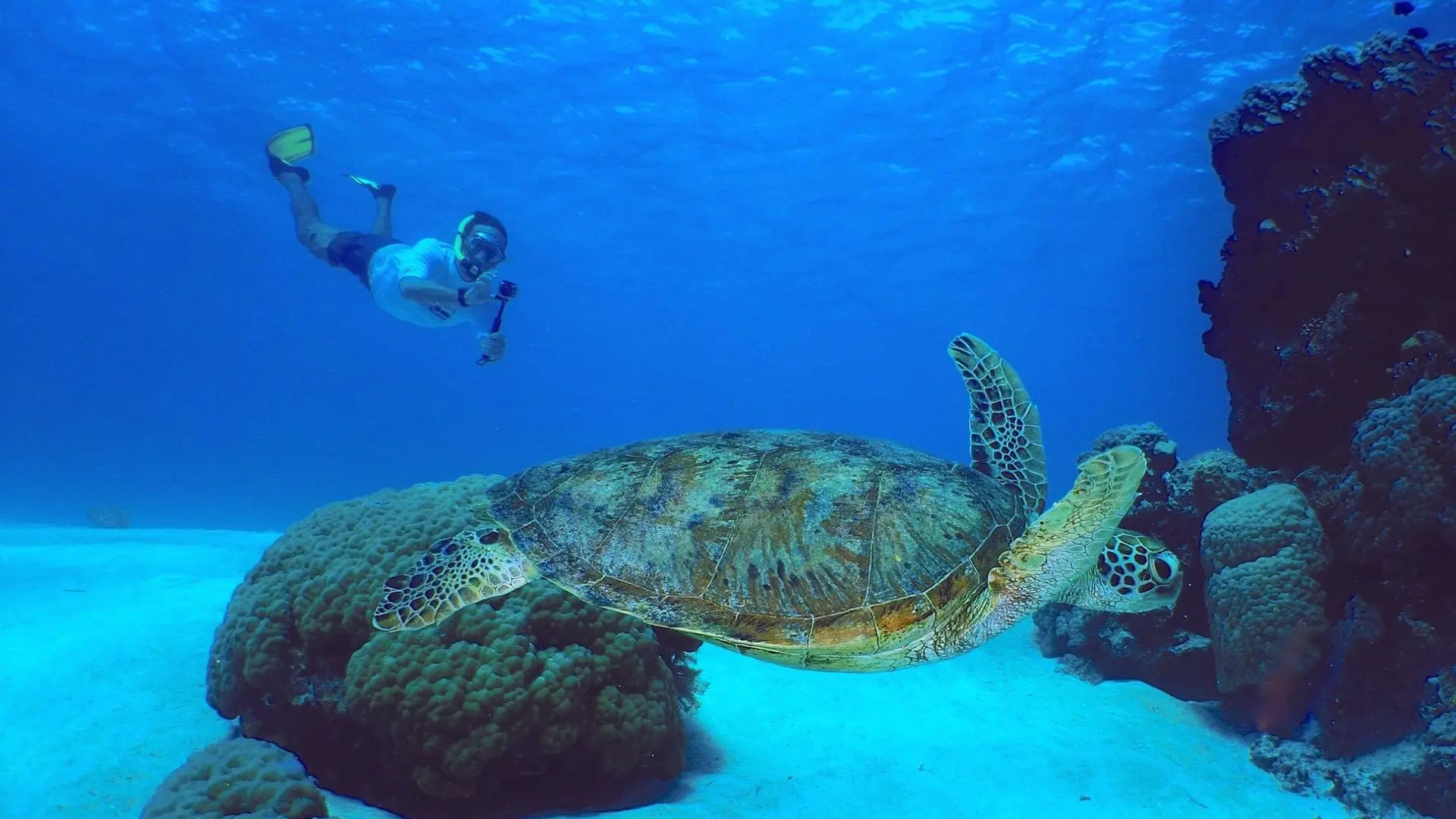 Snorkelling