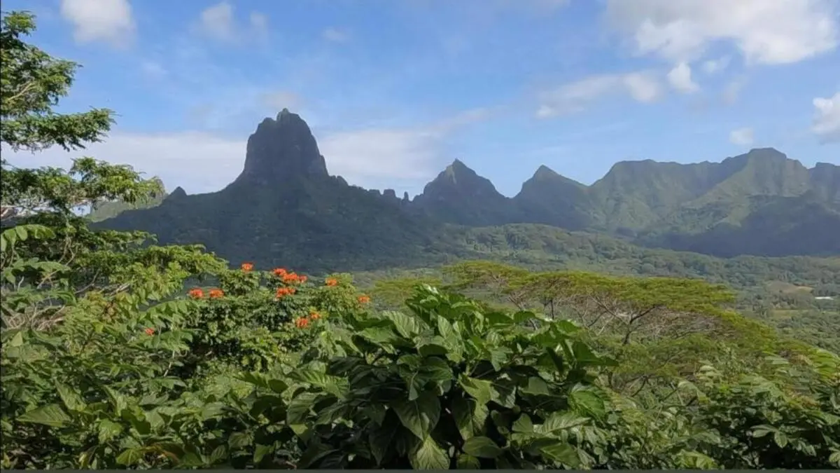 Quadbike Moorea