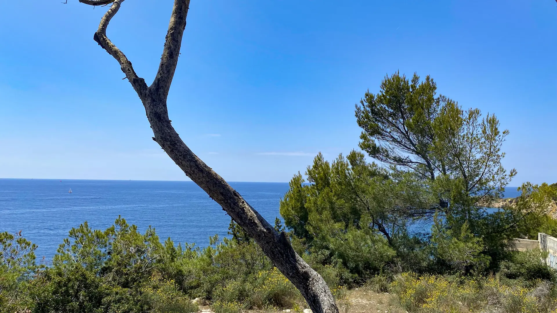 Espace Victorin Blanc 3