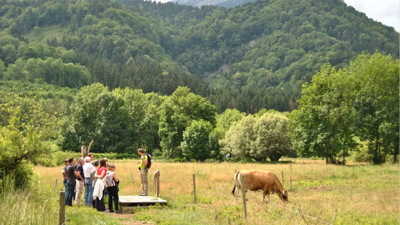 visite guidée des tourbieres