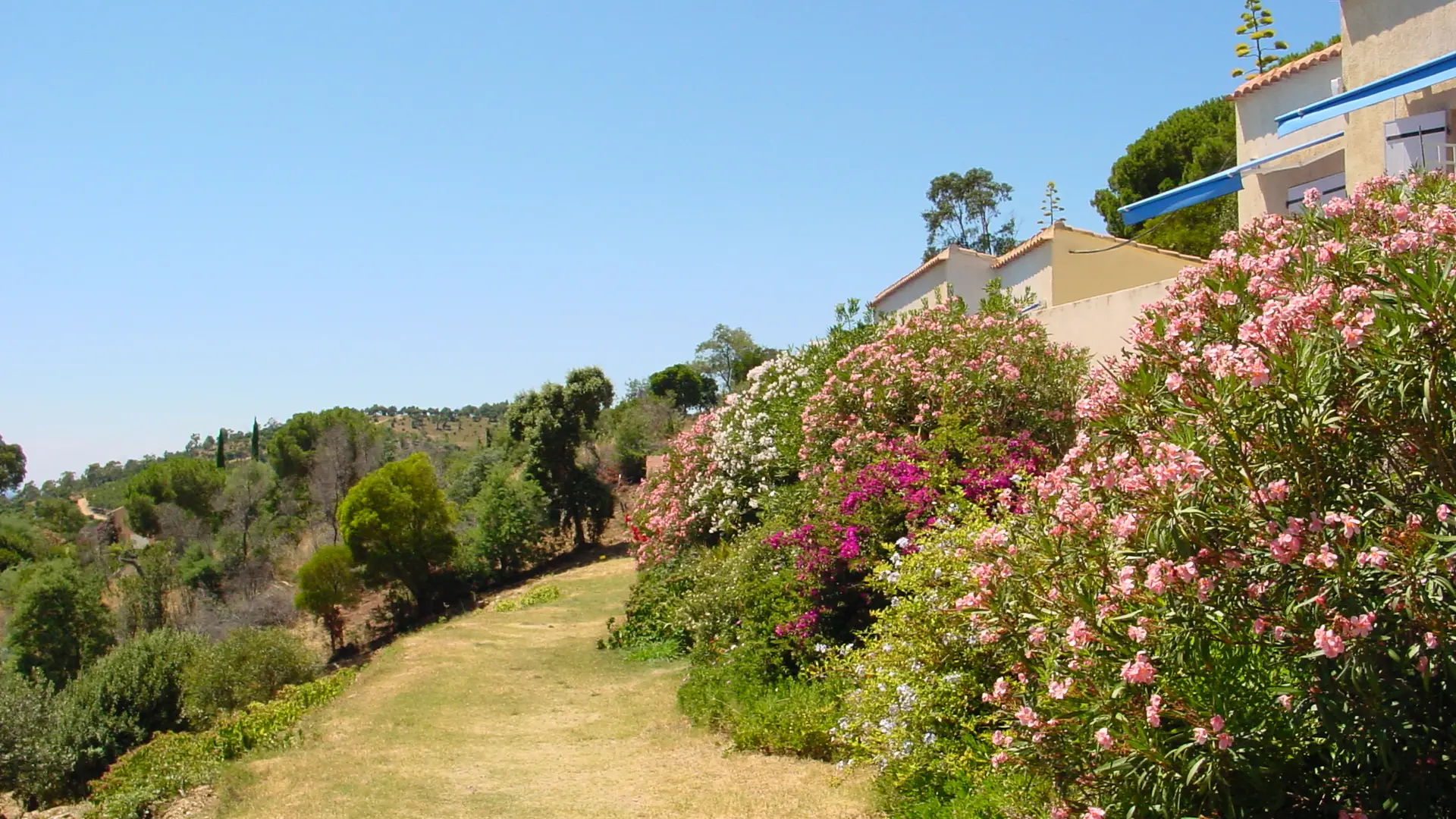 Azur Hôtel - Cavalière - Le Lavandou