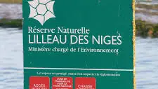 Lilleau des Niges