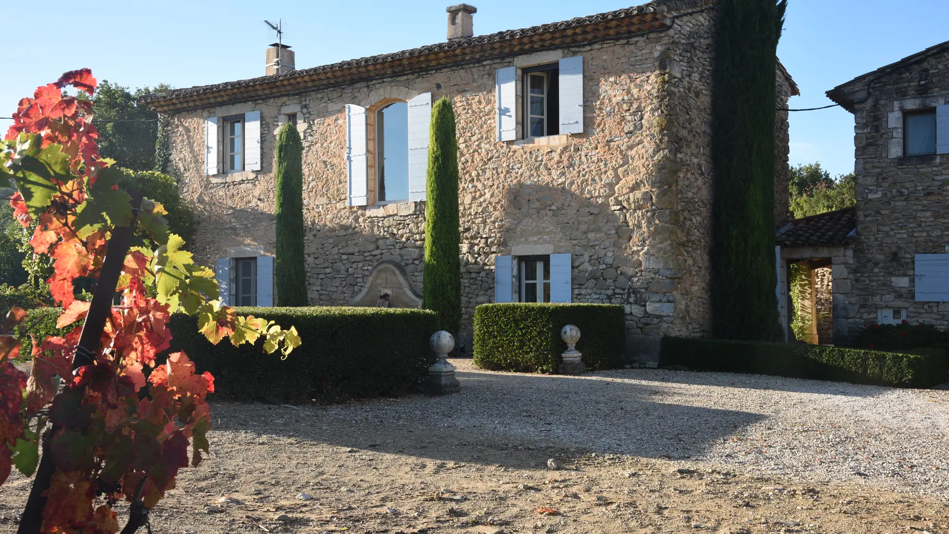 Exterior of front of Mas des Vignes Folles with vines