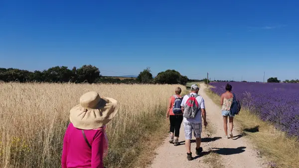 Visit winery and lavender farm